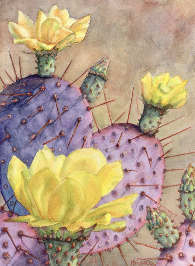 watercolor painting of prickly pear cactus and flowers by Melissa Old artist