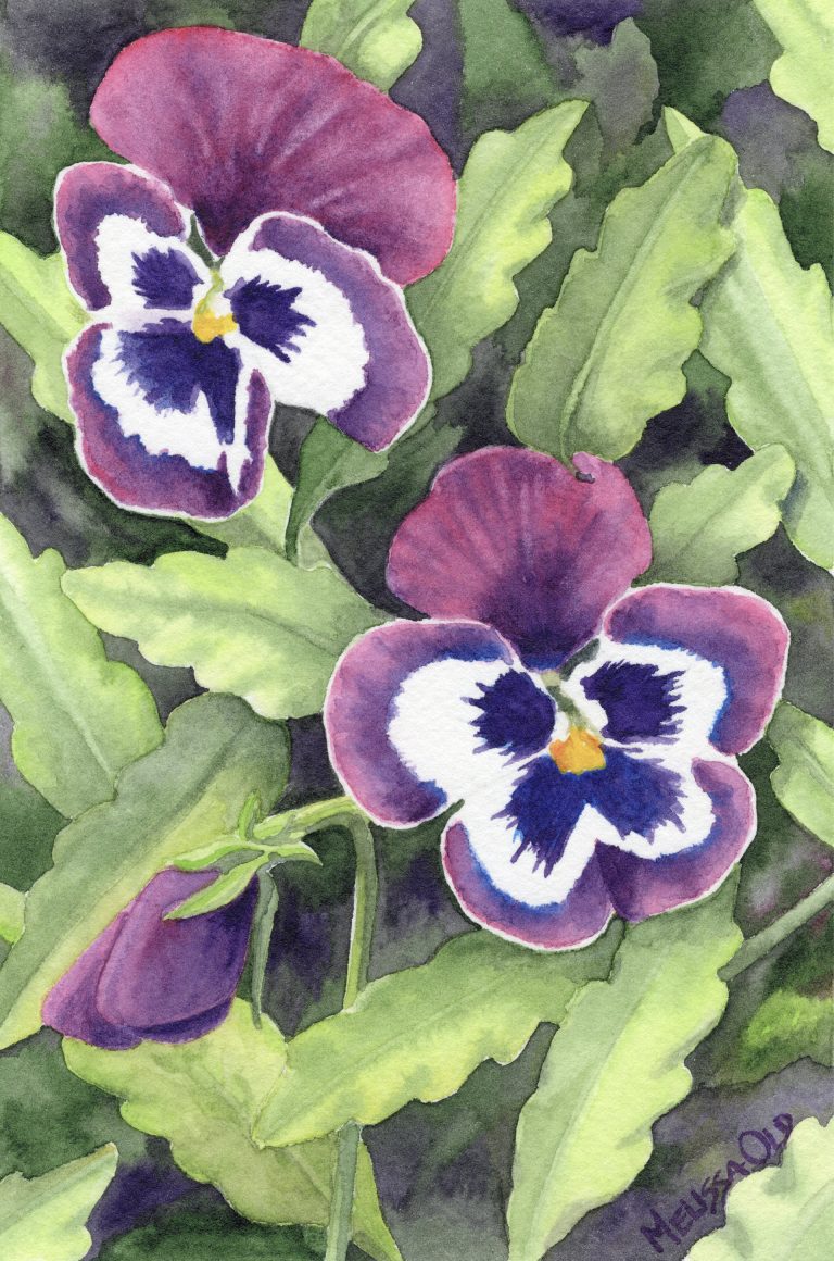 watercolor painting of purple pansies by Melissa Old artist