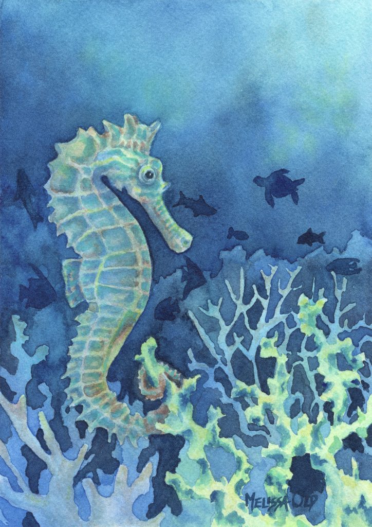 watercolor painting of seahorse by Melissa Old artist