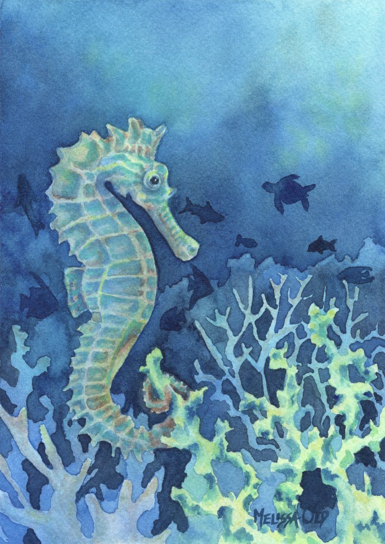 watercolor painting of seahorse by Melissa Old artist