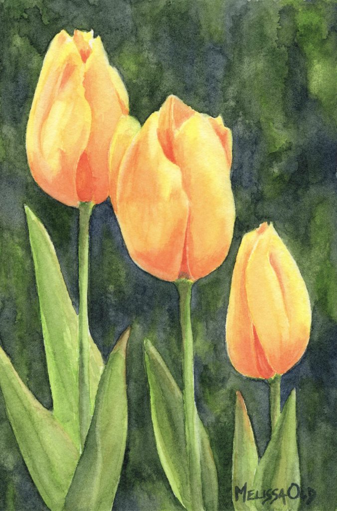 old m yellowtulips
